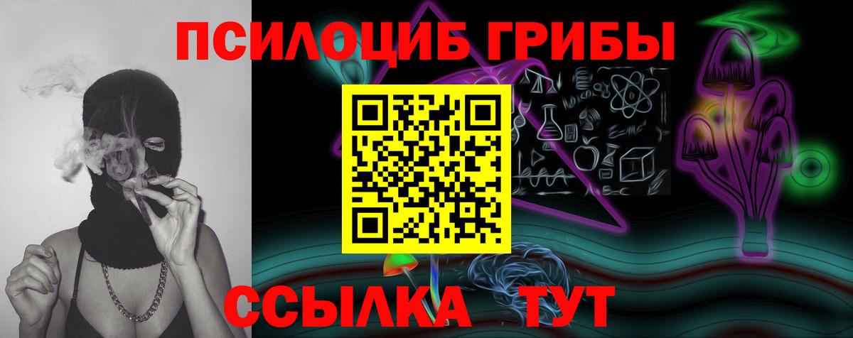 Псилоцибиновые грибы Magic Shrooms  где найти наркотики  Лениногорск  Псилоцибиновые грибы мухоморы  Вход с VPN 