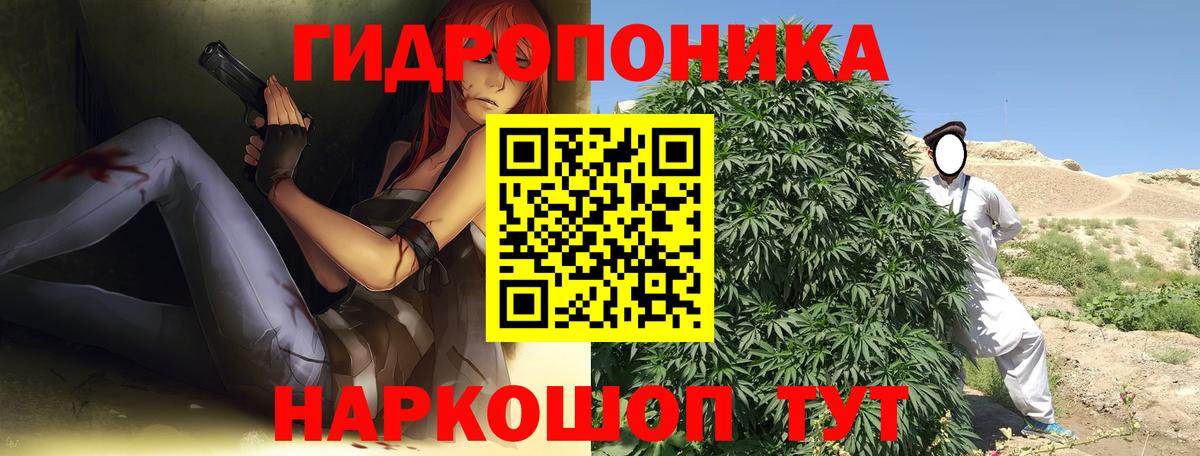 Конопля OG Kush Лениногорск